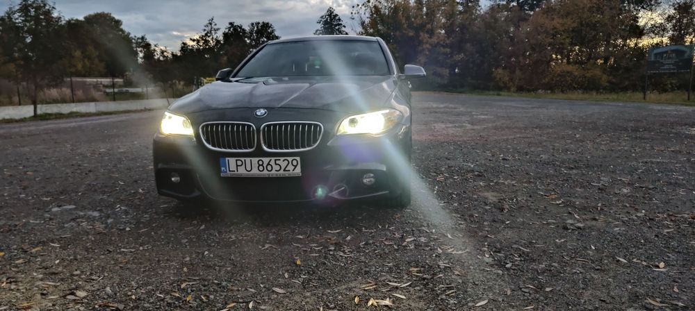 BMW Seria 5 F10 520D Drugi właściciel Salon PL