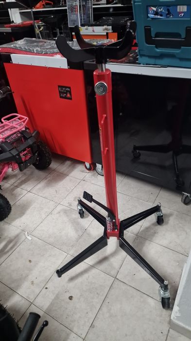 Macacos de vossa  novos