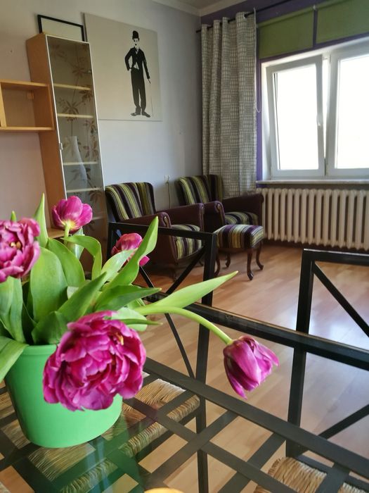 Wynajmę od 2 sierpnia – jasne 41 m² z widokiem na zieleń | Nowa Praga | ul. Karola Darwina 18 - Więcej