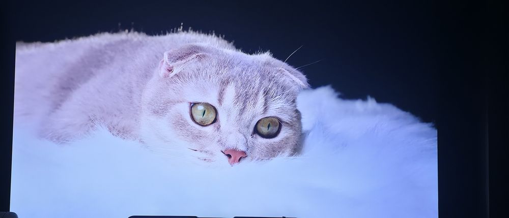 Televisão LG OLED 55B9PUA 55"