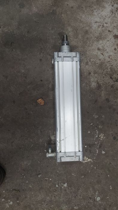 Siłownik pneumatyczny Festo DNC-100-300-PPV-A