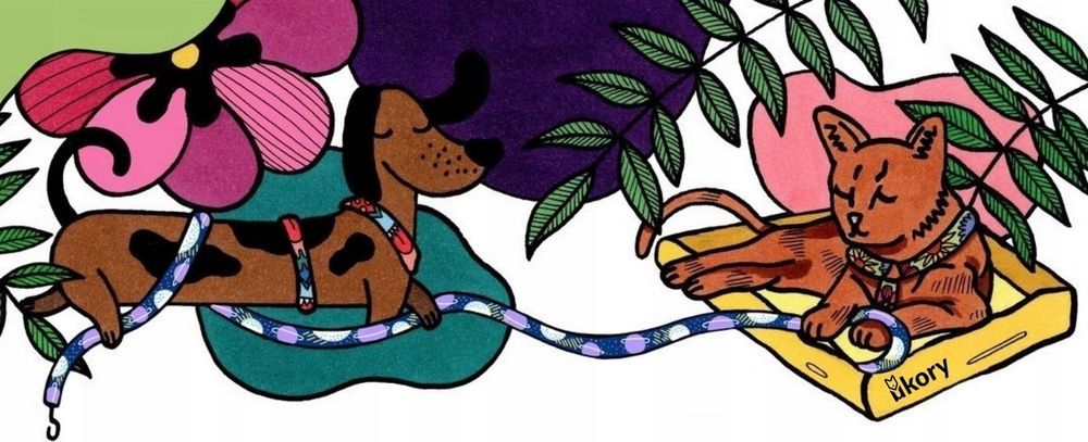 sofa posłanie dla dużego psa pitbull amstaff 120x95x22 cm xl czarna