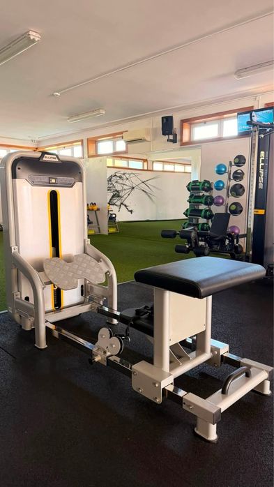 Máquina Glute Raiser