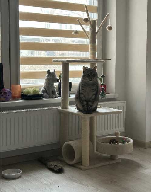 Drapak dla Kota 130 cm beżowy, 5 poziomowy, 4 Piłeczki, Walec