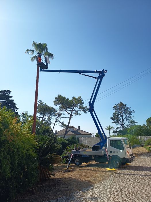 Aluguer de grua com cesto