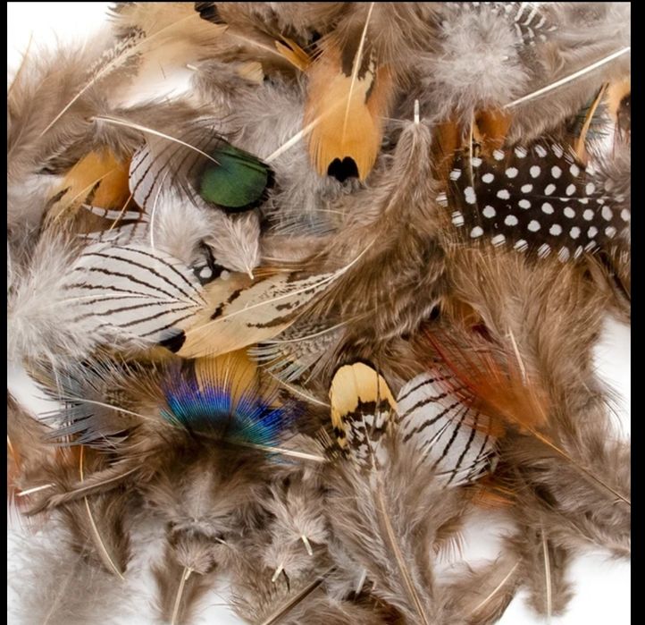 Mix Piór 50szt wędkarstwo muchowe flyfisching