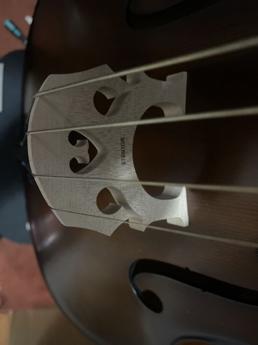 Vendo violoncelo Student 2 NOVO