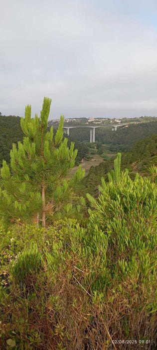 Terreno Rústico com 2.875 m² em Alto Famoes, Mafra.