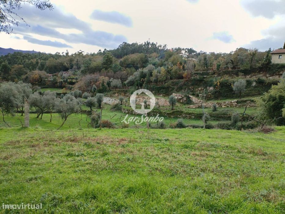 Terreno rústico, para venda, Terras de Bouro - Vilar da Veiga