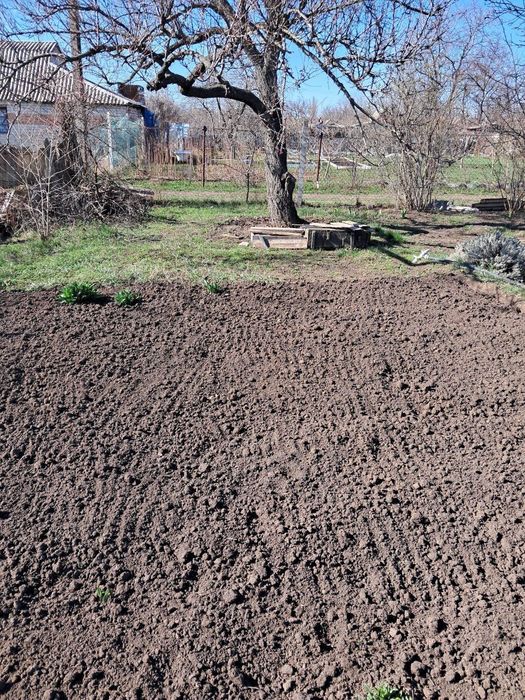 Павлоград продам дачний участок