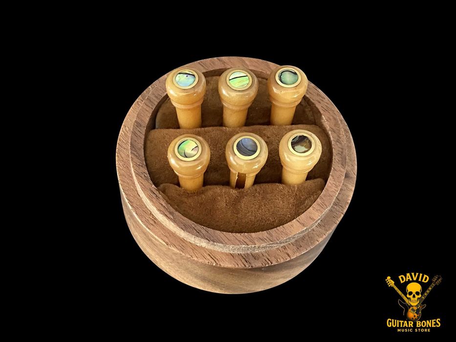 Set Pins Pestana Rastilho osso camelo para Guitarra