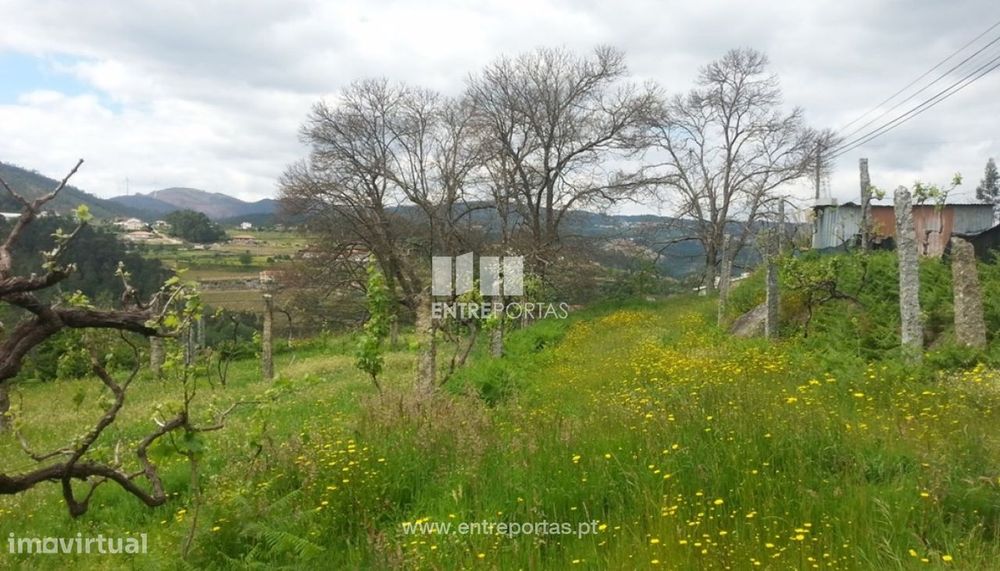 Venda Terreno, São Martinho de Sardoura, Castelo de Paiva — Marco, Porto