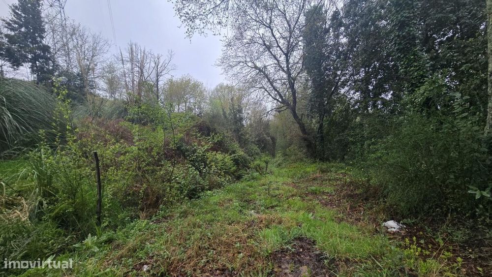 Terreno para construção em Macinhata Seixa! — Oliveira De Azeméis, Santiago De Riba-Ul, Ul, Macinhata Da Seixa E Madail, Aveiro