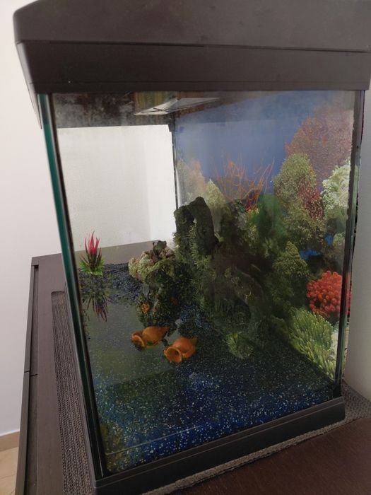 Aquário 60x30x45