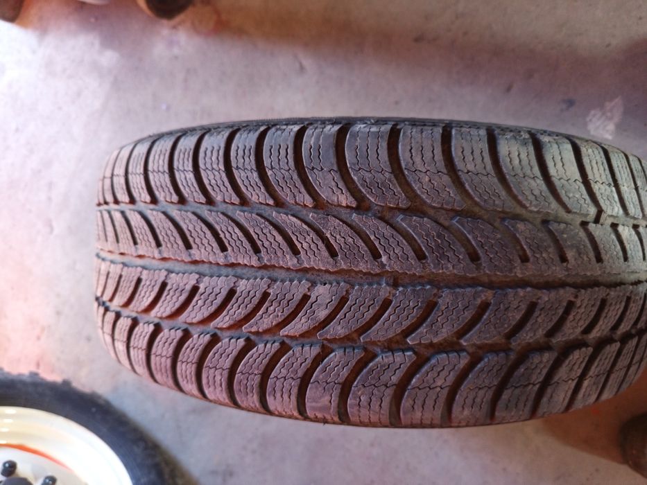 Opona zimowa Dębica Frigo 205/55/16