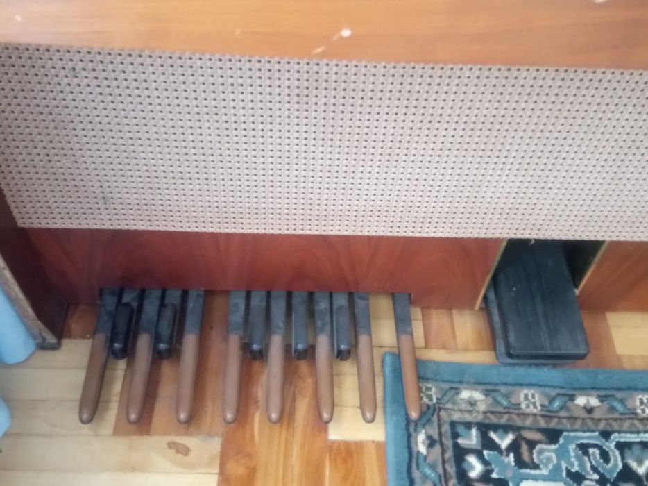 Organy Organet 244RS