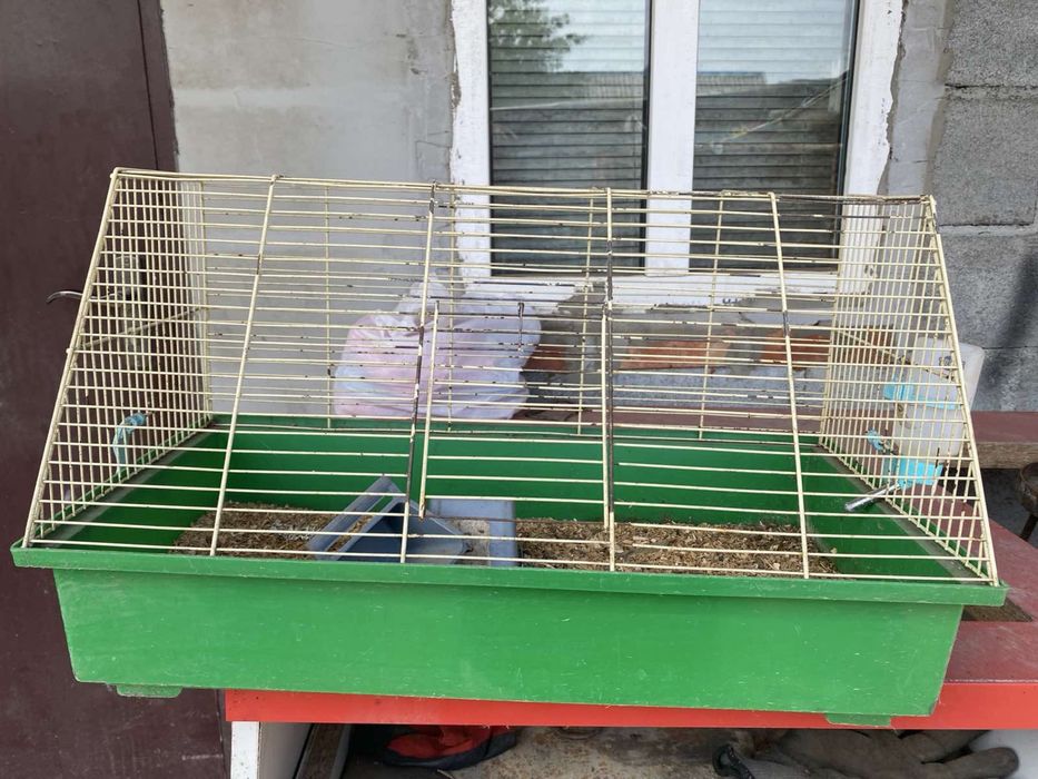 Продам клетку для гризунів