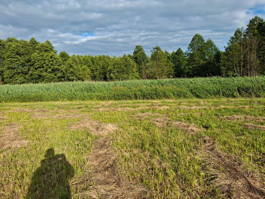 Działka 82a - 8200m2 Mełgiew/Minkowice