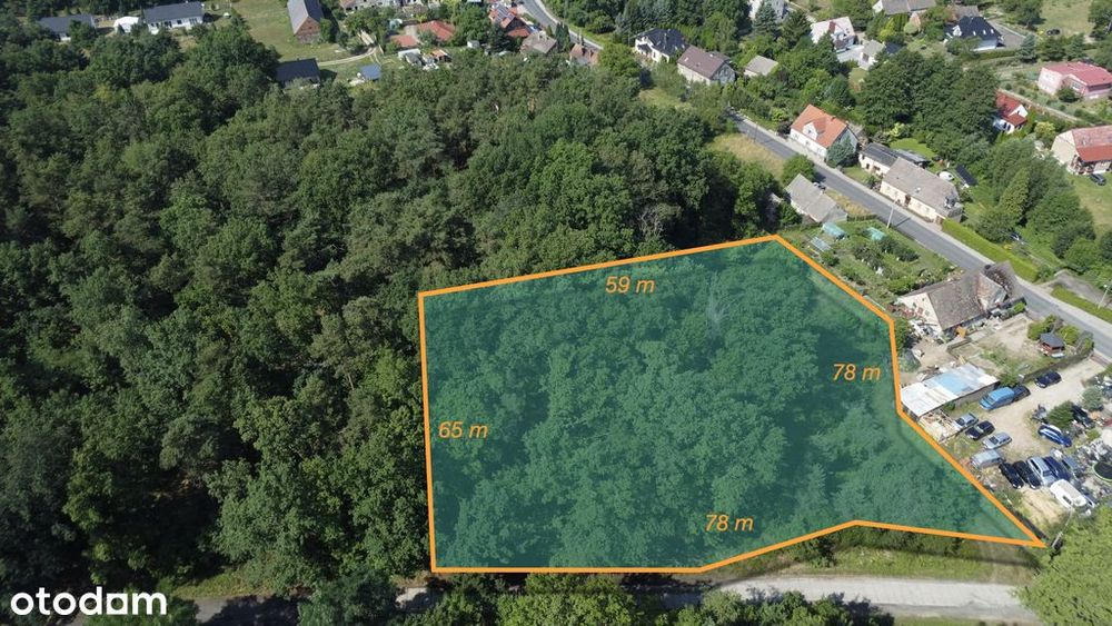 Myślisz, że 60 zł/m2 za las to oszustwo?