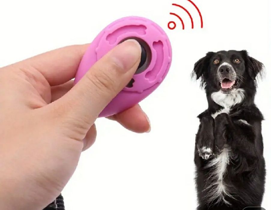 для дрессировки собак