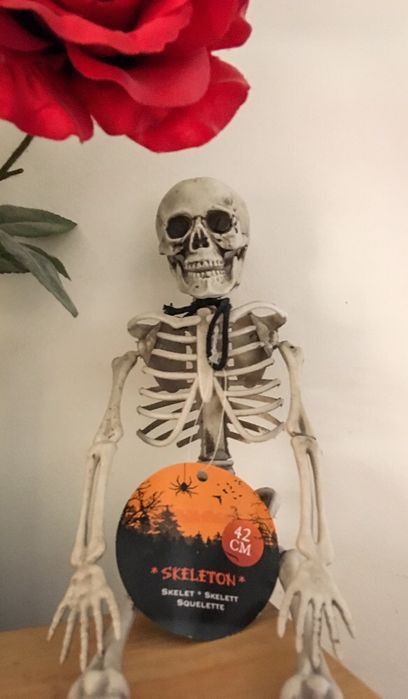 Esqueleto Halloween