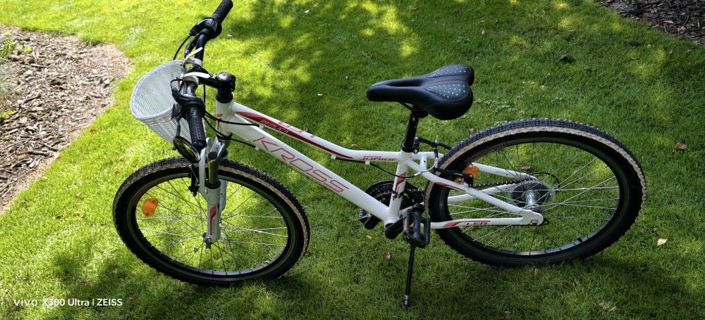 Rower Kross Lea 24"