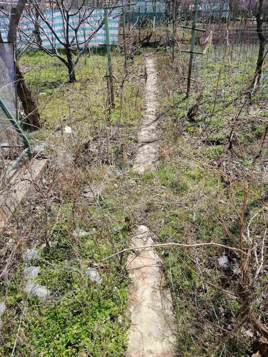 Укладка тротуарной плитки