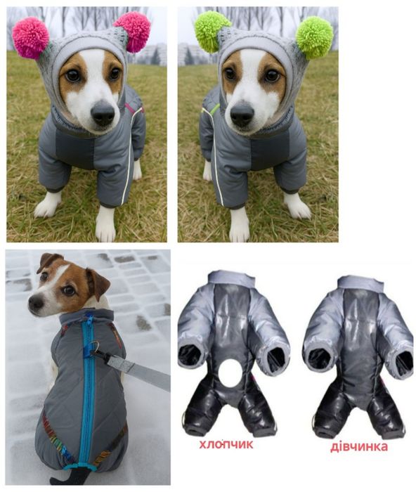 Продам комбинезоны для собак  и шапки