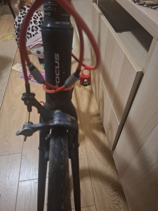 Focus Culebro  52cm ewentualną zamiana na przełaj