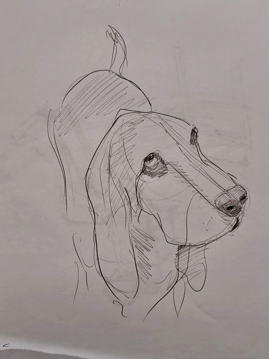 Portret ze zdjęcia ołówkiem - Szybki prezent!
