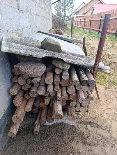 Stemple Sosnowe Okorowane