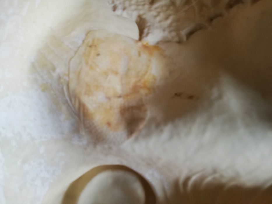 Maska, przebranie, straszny klaun