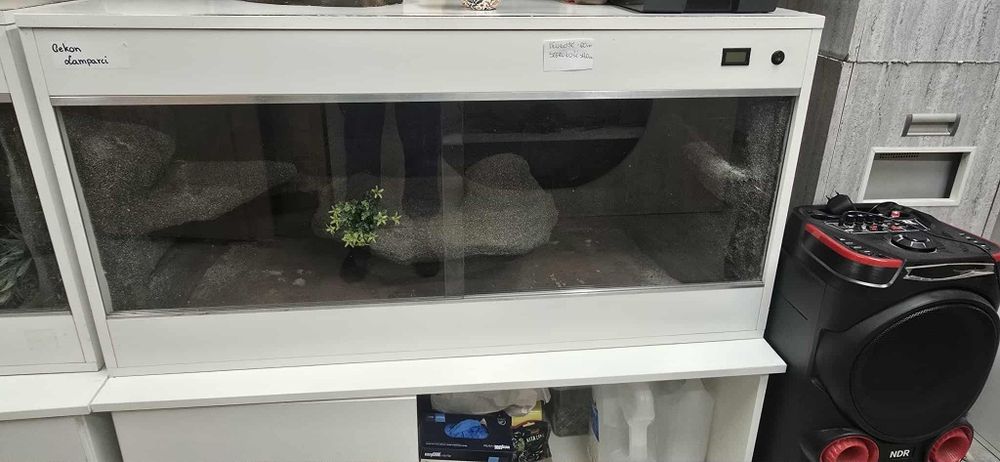 Terarium  dla gadów