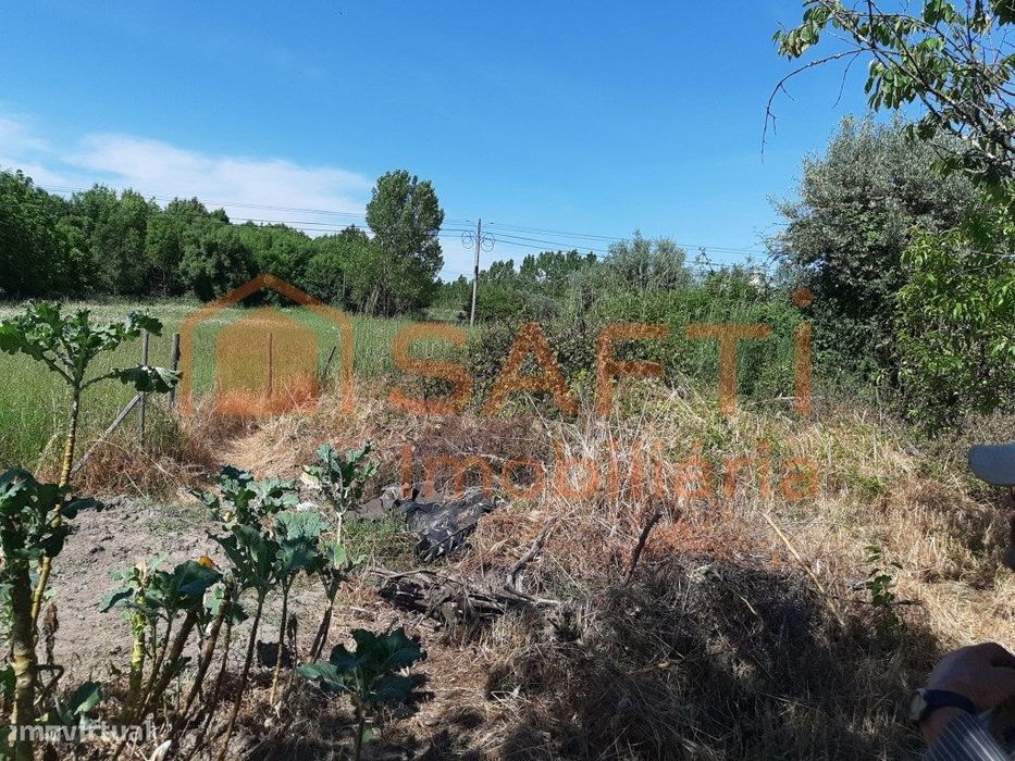 Mixed 2,500 m² Plot in Canas de Senhorim – Nature, Tranquility...