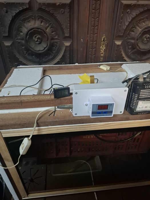 Incubadora Automatica