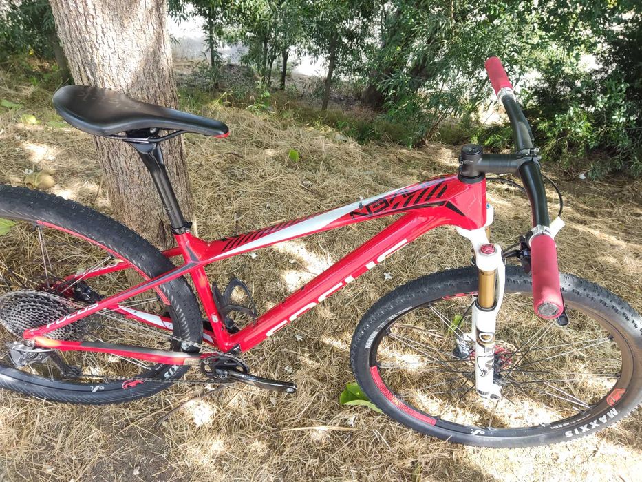 Focus raven roda 29