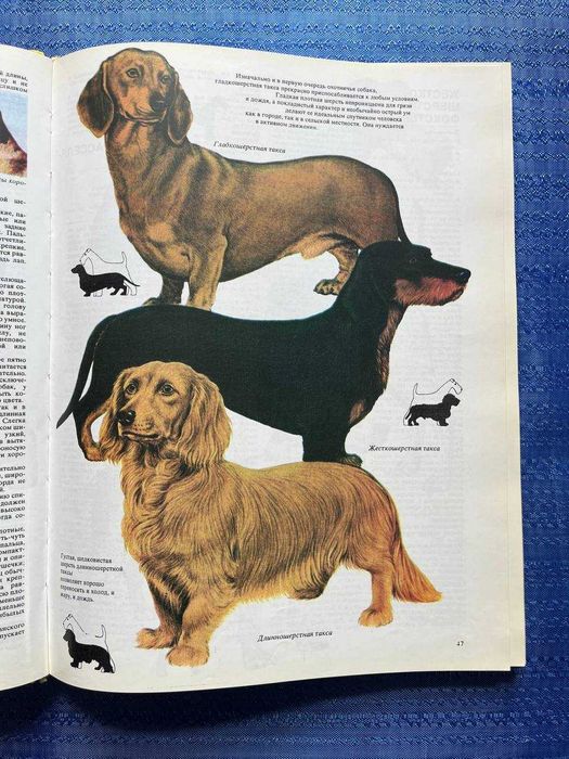 Ваша собака. Практическое руководство по выбору и уходу за собакой. Джоан Палмер 1993 год. книга(№ 106)