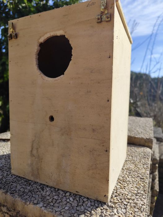 Material de criação de pássaros