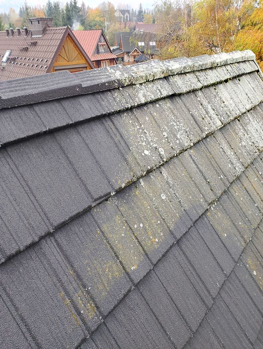 Mycie dachów dachu profesjonalne alpinistyczne wolne terminy