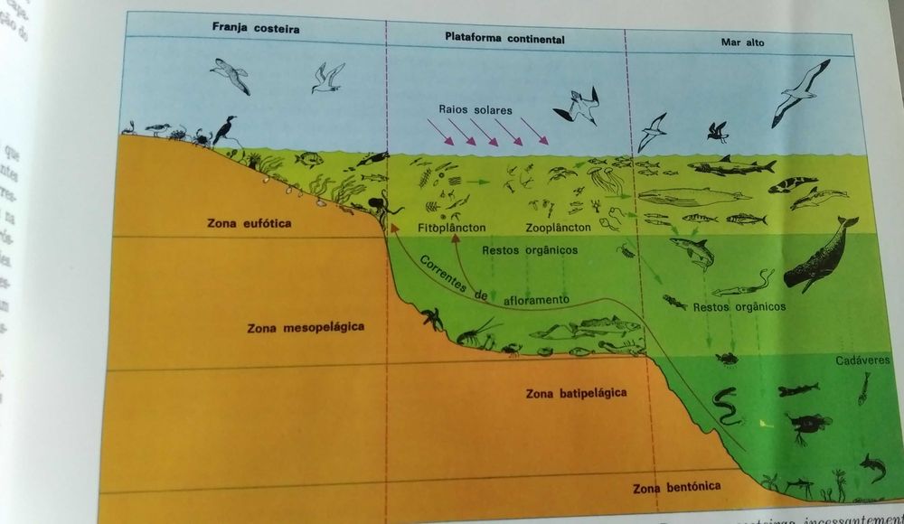 A Enciclopédia Salvat de Fauna de  Félix Rodríguez de la Fuente
