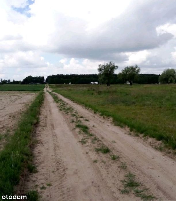 Zdjęcie 7