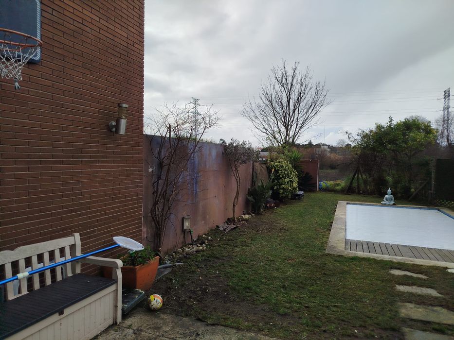 Podas e abates de árvores