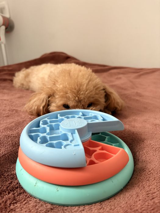 Zabawka interaktywna na smaczki Nina Ottoson