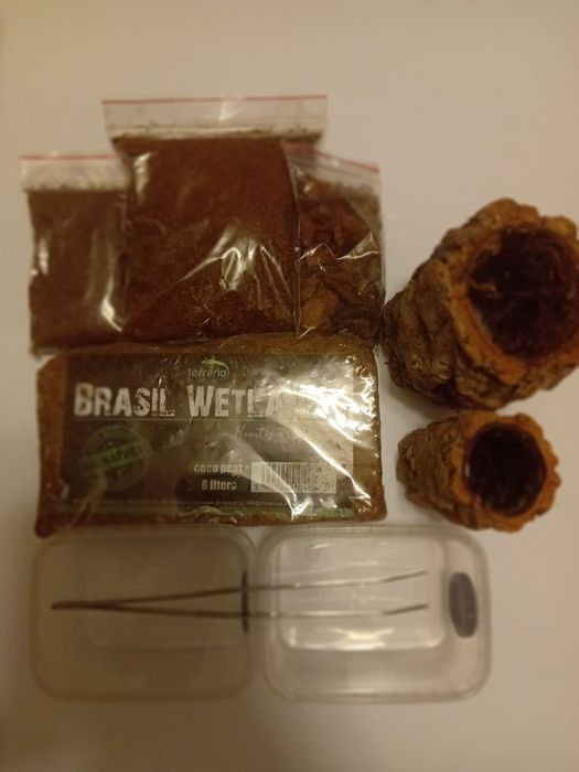 Zestaw startowy do hodowli pająka