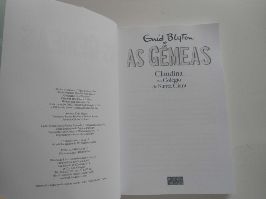 As Gémeas (VII) por Enid Blyton