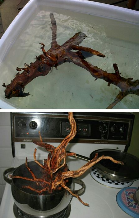 аквариум.коряги.