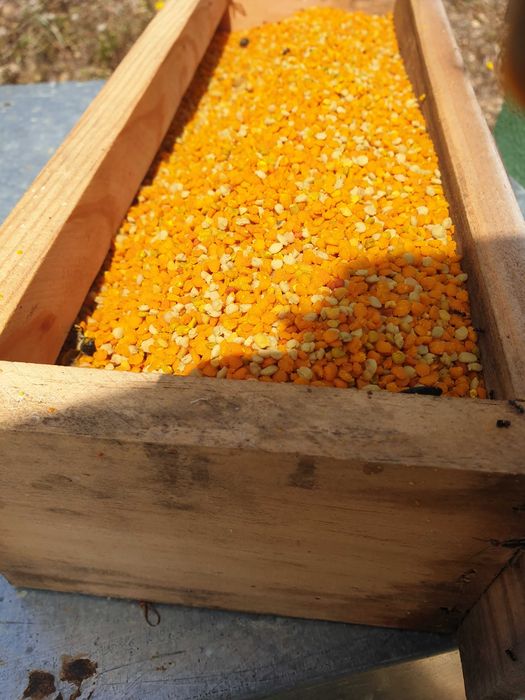 Venda de pólen de abelha a granel