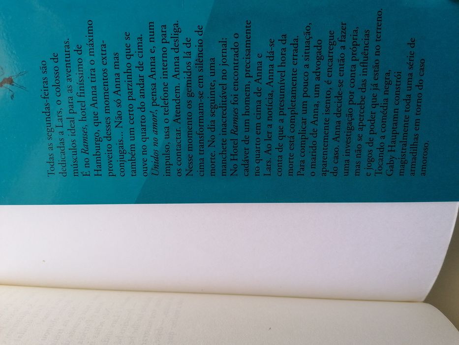Um amante a mais ainda sabe a pouco, de Gaby Hauptmann