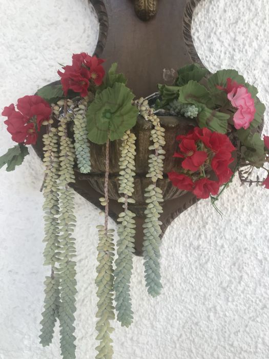 Fonte de parede decorativa com espaco para plantas naturais