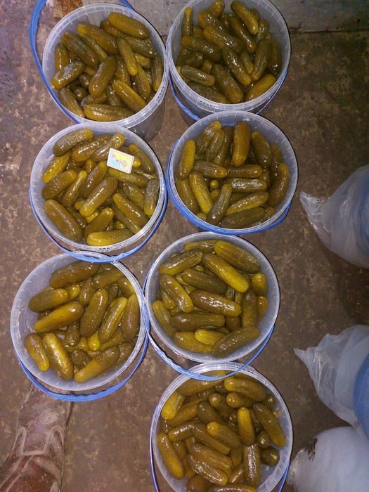 Капуста квашена домашня